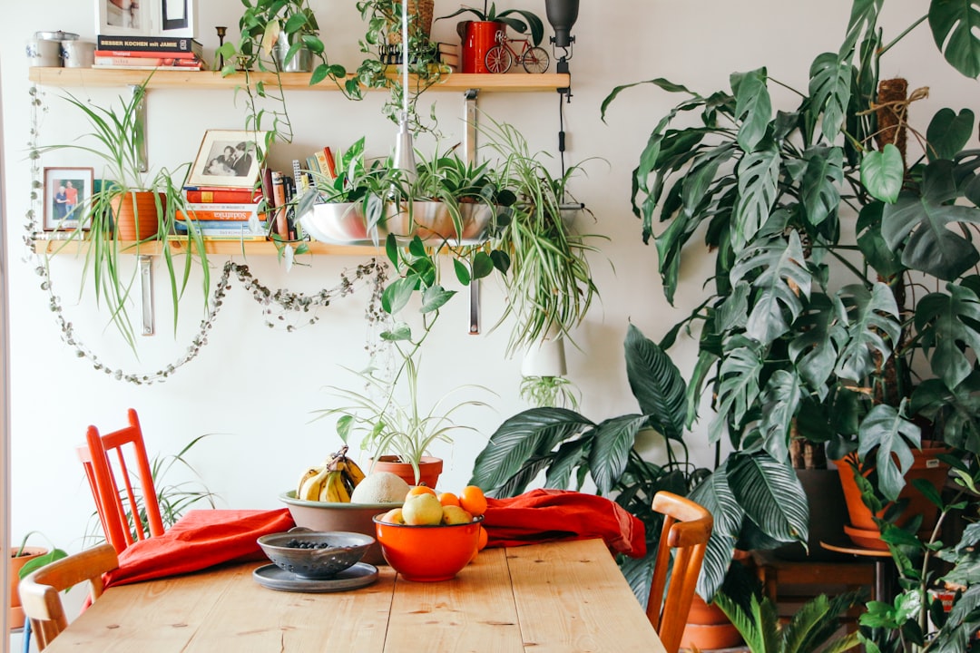 Salon moderne avec accents bois et plantes. Salon moderne avec accents bois et plantes.